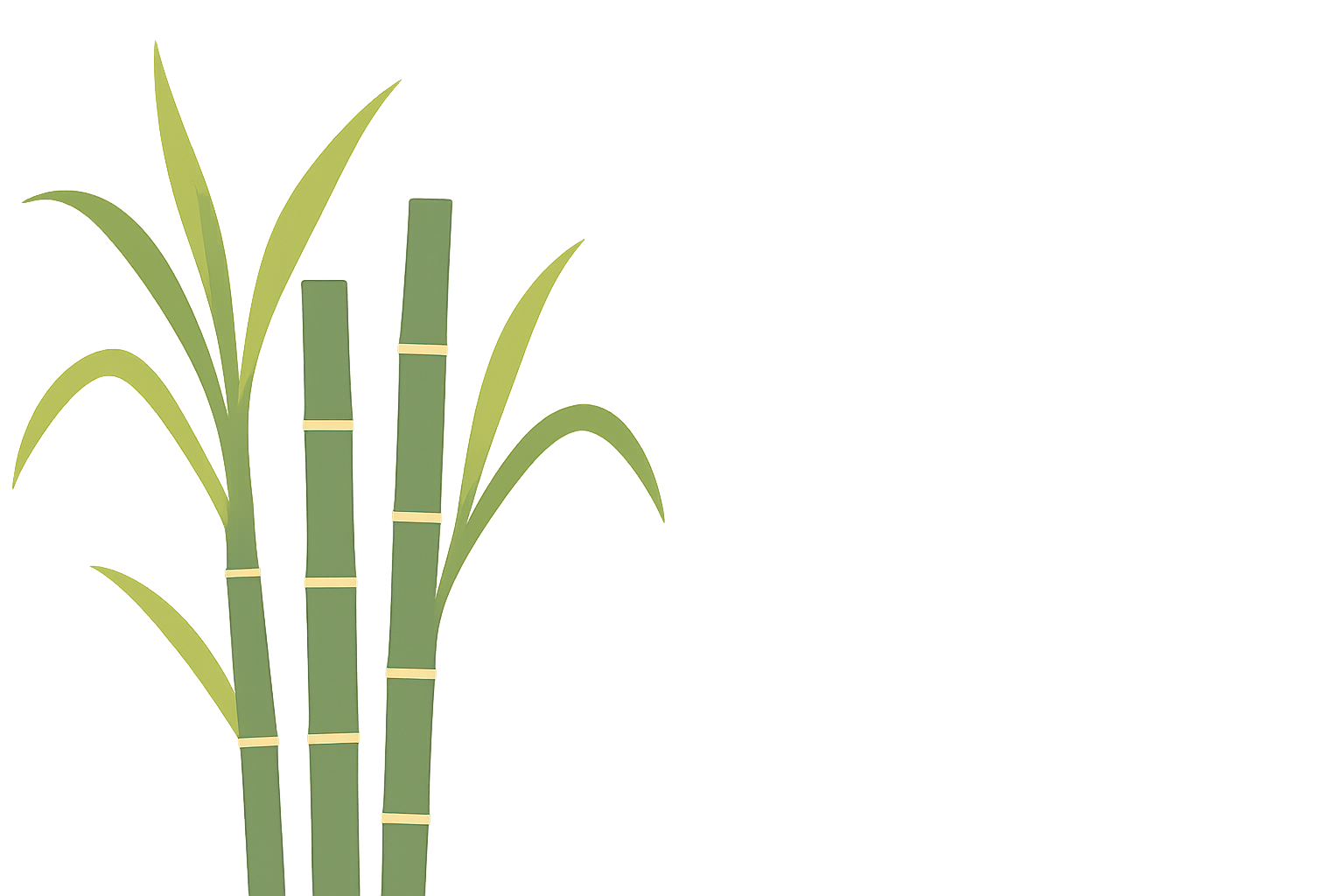 Canya - Plastic Free Straws